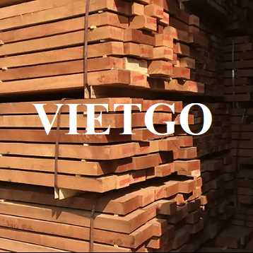 Thương vụ xuất khẩu gỗ dẻ gai xẻ sang thị trường Thái Lan