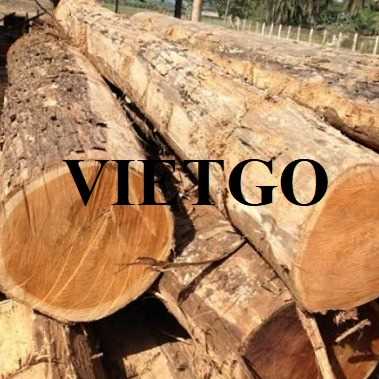 Thương vụ xuất khẩu gỗ teak tròn sang thị trường Bangladesh