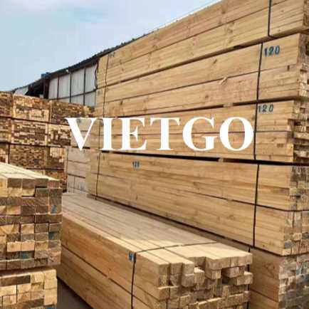 Thương vụ xuất khẩu gỗ thông xẻ sang Thổ Nhĩ Kỳ nhằm mục đích tái thiết cơ sở vật chất sau thảm họa động đất