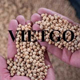 Thương vụ xuất khẩu hạt đậu nành đến thị trường Việt Nam