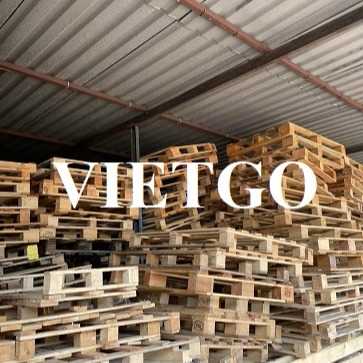 Thương vụ xuất khẩu mặt hàng pallet gỗ đã qua sử dụng sang thị trường Ấn Độ
