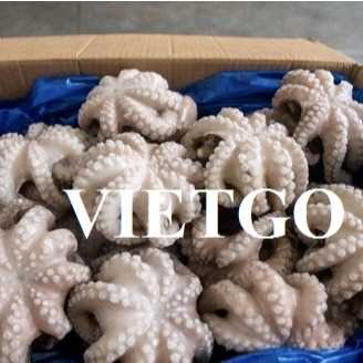 Thương vụ xuất khẩu mực và bạch tuộc sang thị trường Ý