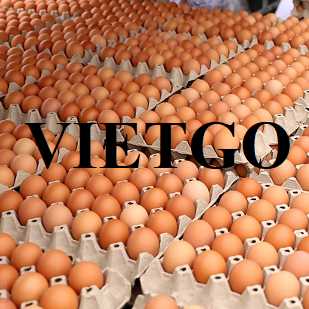 Thương vụ xuất khẩu trứng gà sang thị trường Ả Rập Xê Út