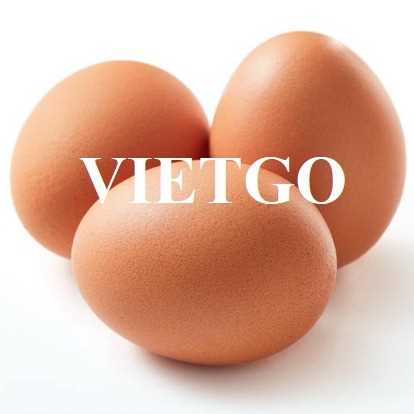 Thương vụ xuất khẩu trứng gà sang thị trường New Zealand