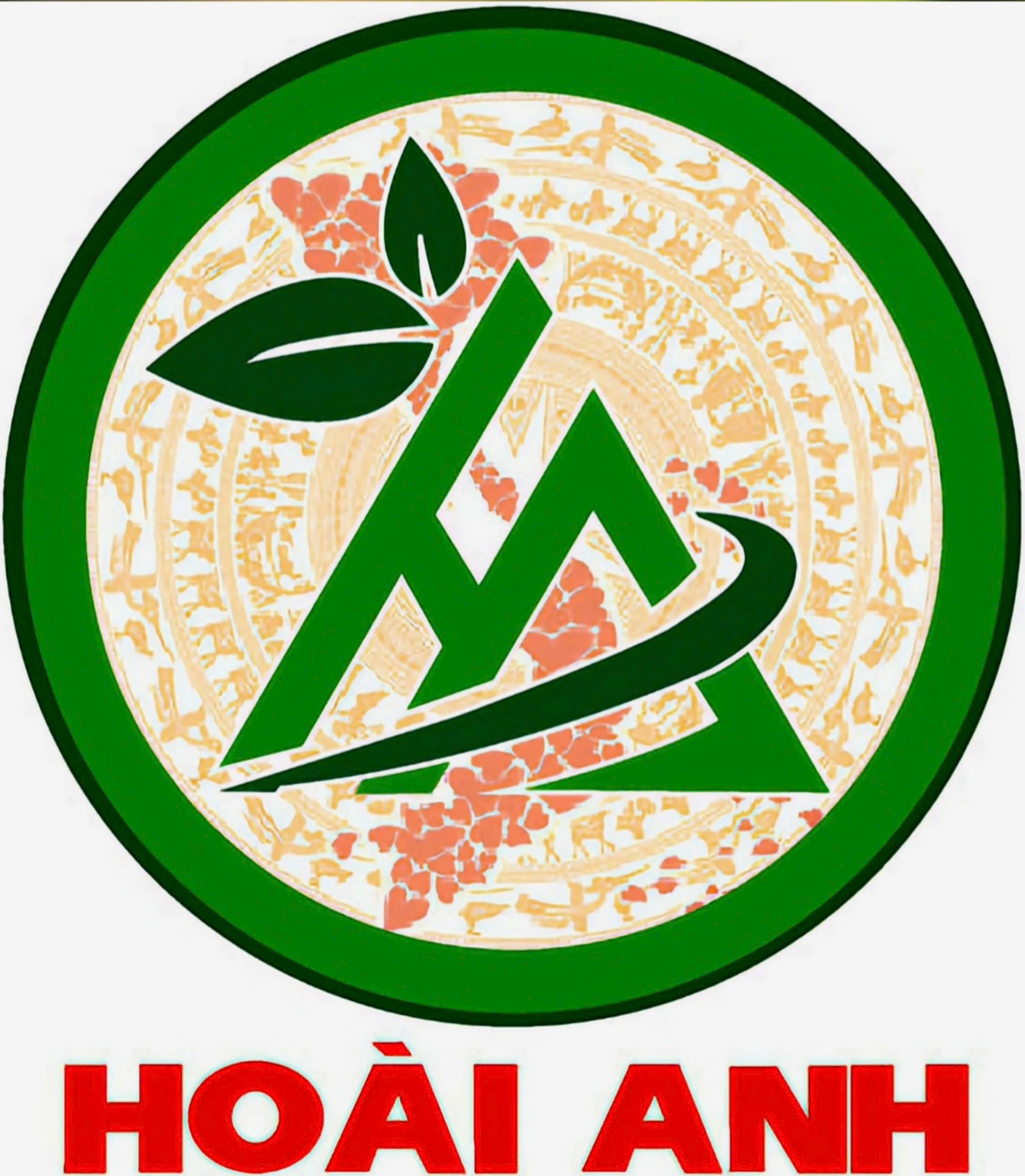 Công ty thương mại dịch vụ Hoài Anh