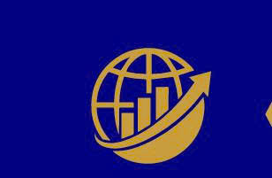 CÔNG TY TNHH THƯƠNG MẠI VÀ XUẤT NHẬP KHẨU BV VIỆT NAM