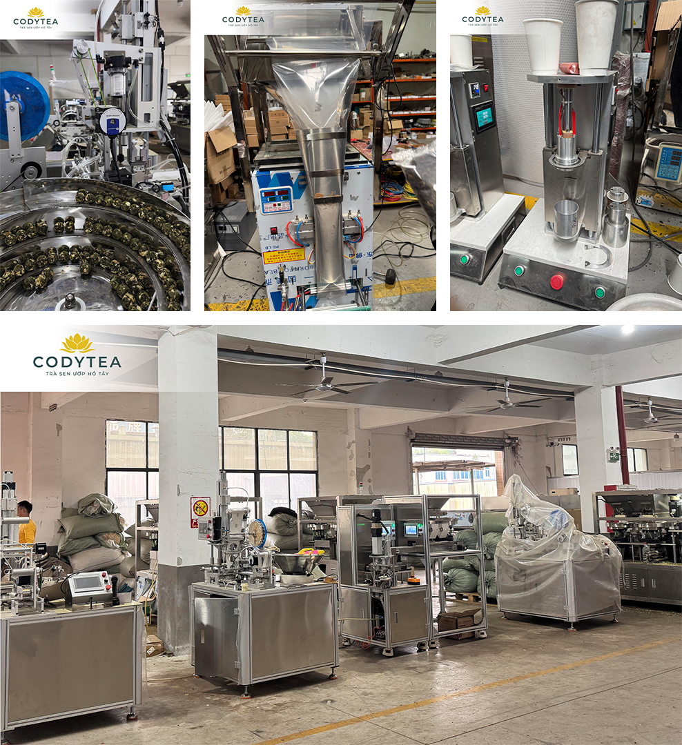 CODYTEA THAM QUAN VÀ HỌC HỎI CÔNG NGHỆ SẢN XUẤT TRÀ TẠI PHÚC KIẾN