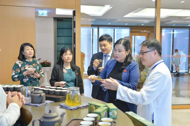 Trải nghiệm Trà ướp sen Hồ Tây - Tinh hoa Trà Việt tại Văn Miếu Quốc Tử Giám