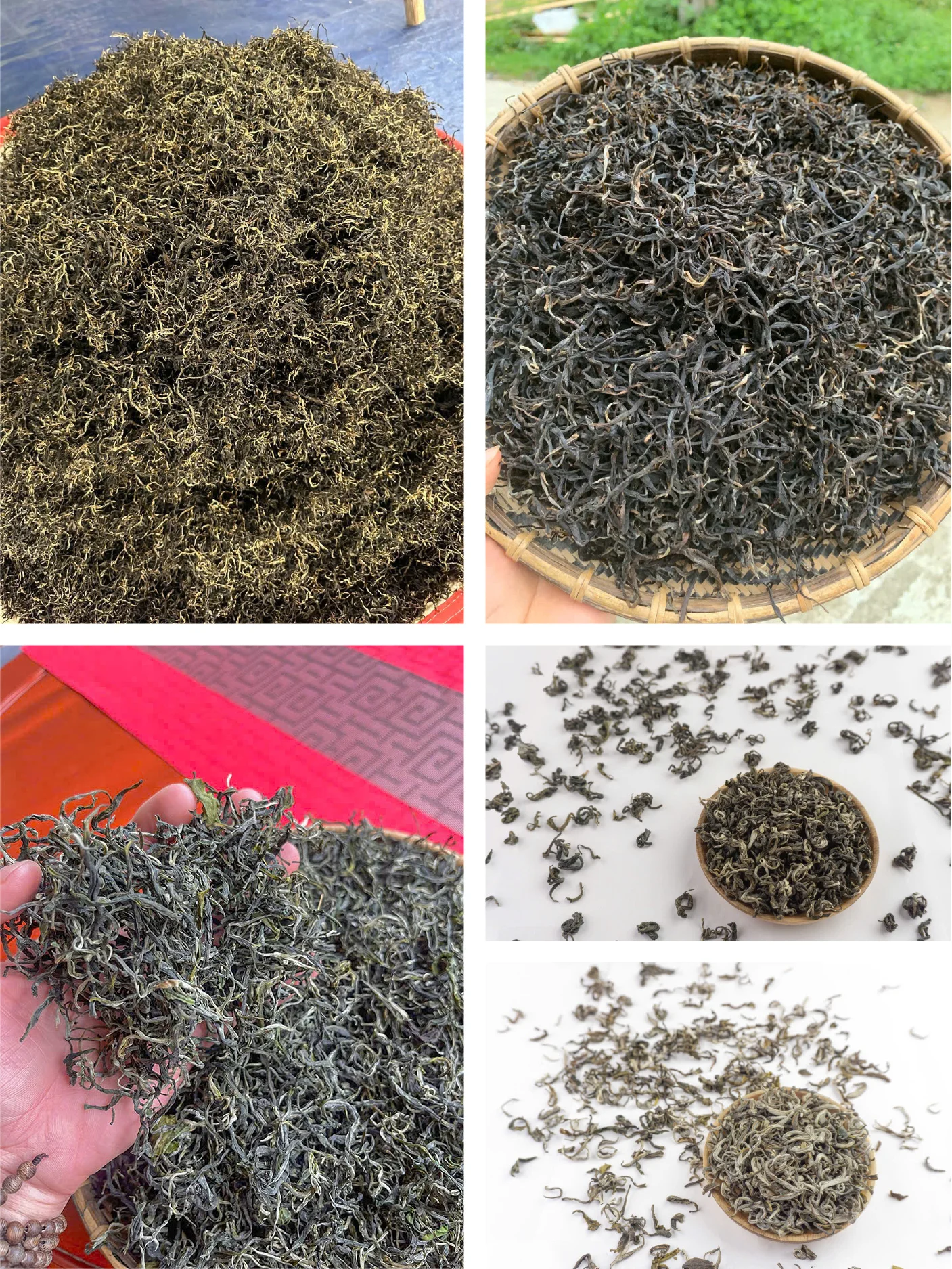 CODY TEA – NHÀ SẢN XUẤT & XUẤT KHẨU TRÀ VIỆT, MỞ RỘNG HỢP TÁC OEM/ODM TOÀN CẦU