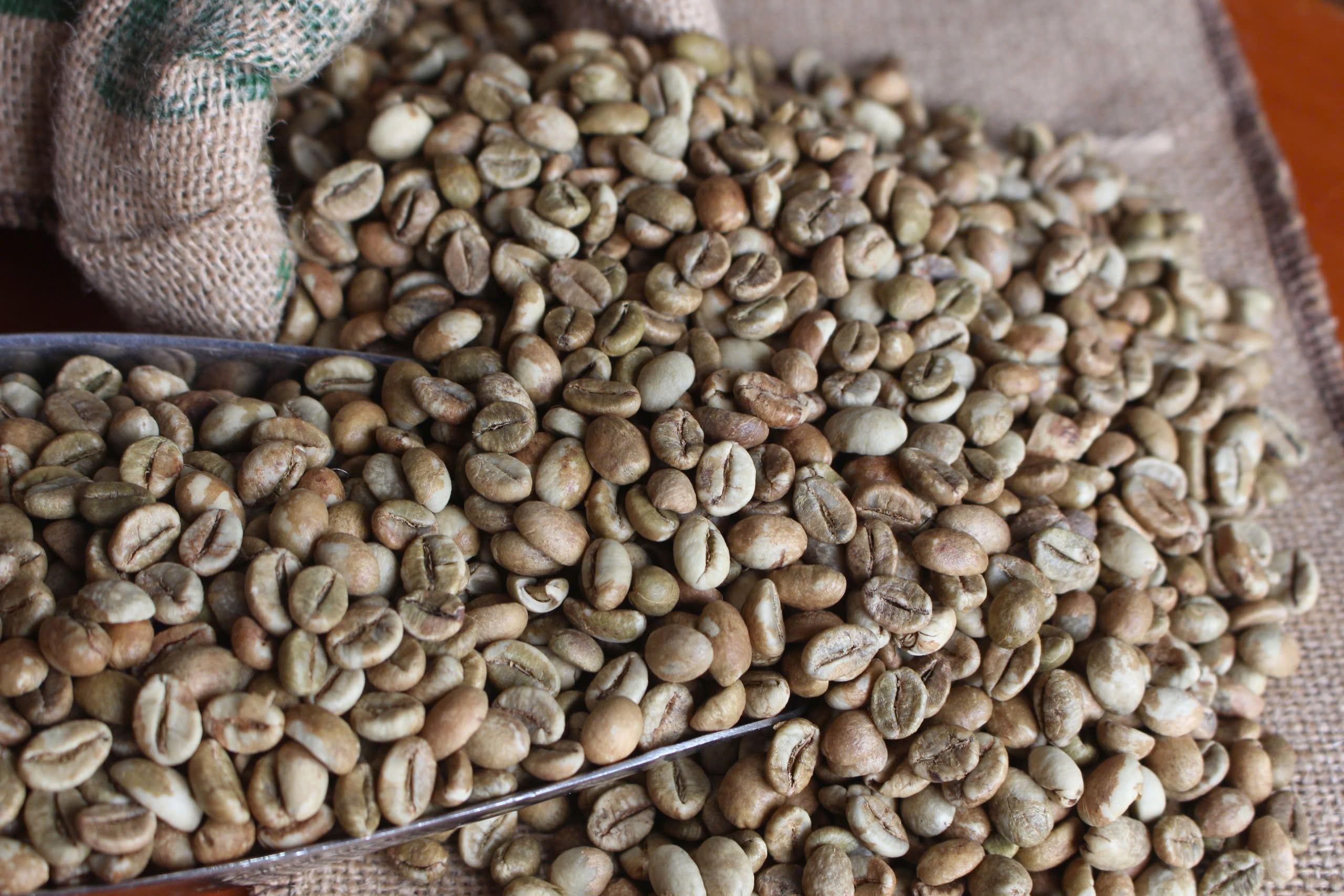 Coffee Beans